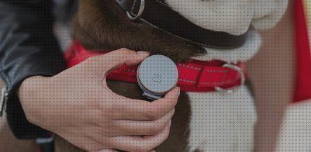 Las mejores marcas de gps perro andorra localizador gps perros