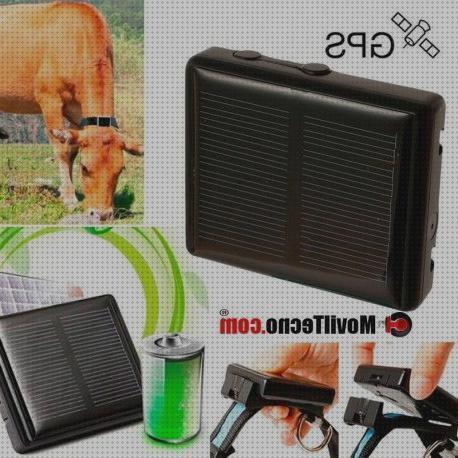 ¿Dónde poder comprar animales?
