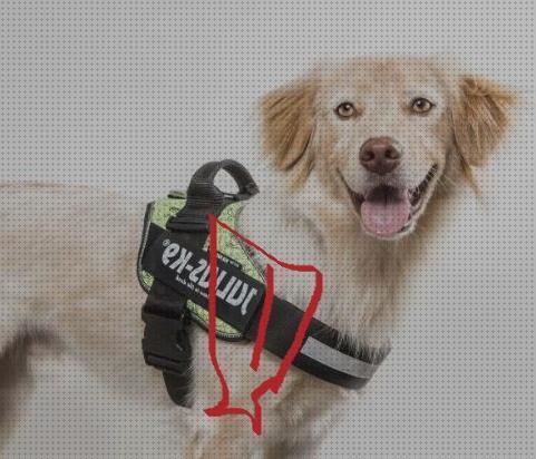 Las mejores perros arnes gps perros