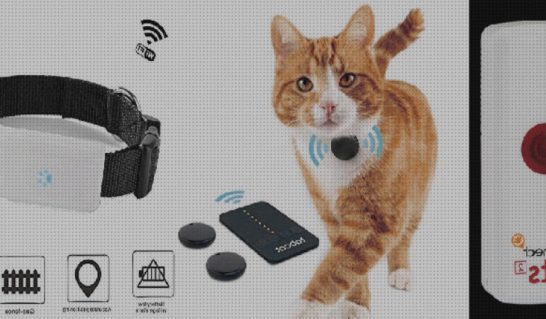 ¿Dónde poder comprar gps best 2020 gps 2020 best dog gps collar 2020?