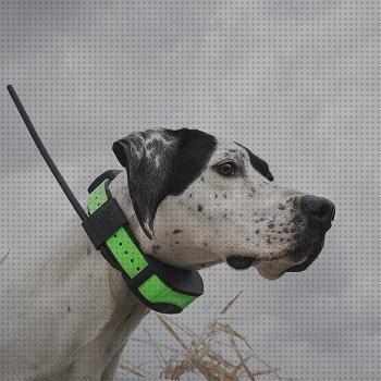 Las mejores marcas de gps best 2020 gps 2020 best dog gps collar 2020