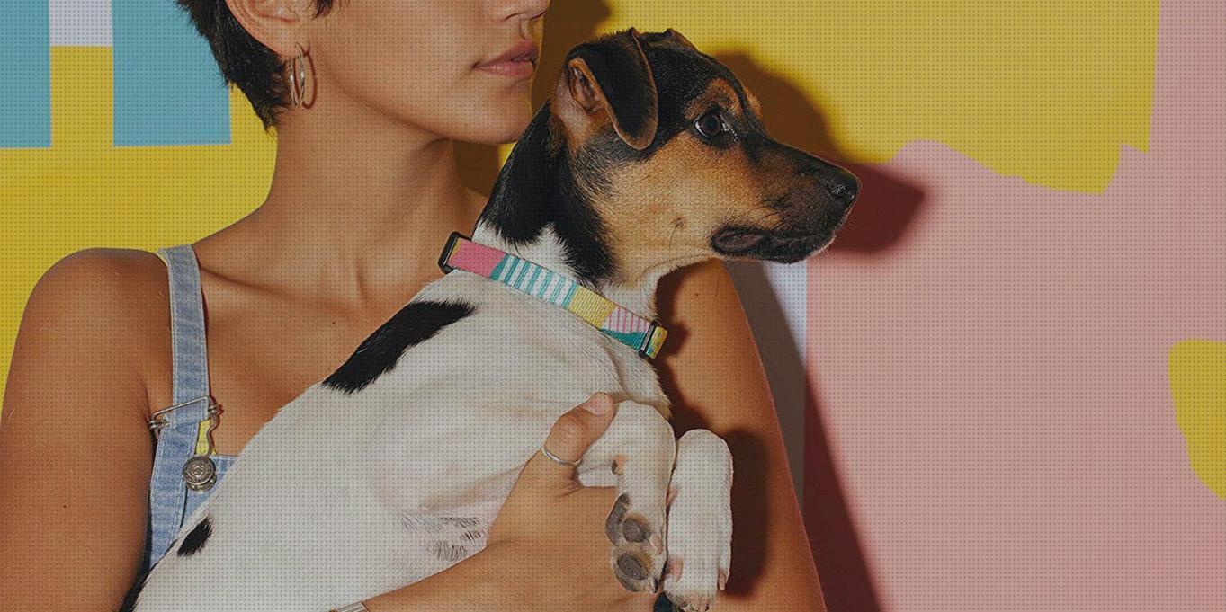 Review de best dog gps collar 2020
