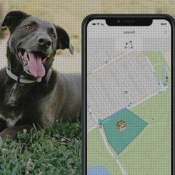 Los mejores 23 Best Dog Gps Collares 2020