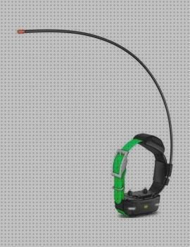 ¿Dónde poder comprar collares garmin collar adicional gps garmin?