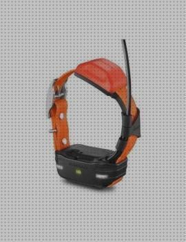 Las mejores collares garmin collar adicional gps garmin
