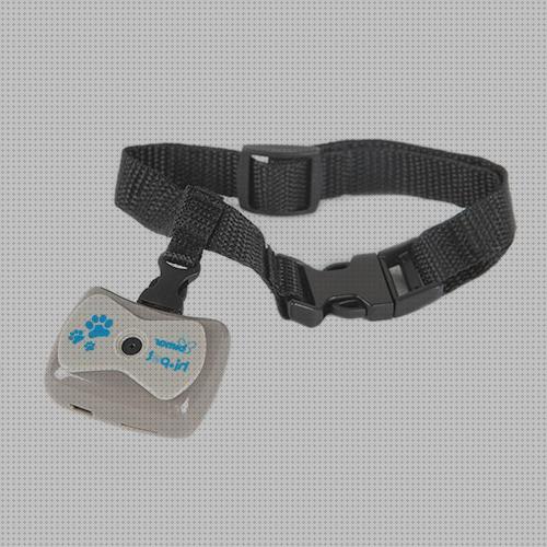 ¿Dónde poder comprar gps perros collar gps perro collar con camara y gps perros?