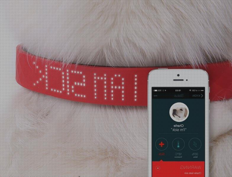Las mejores gps perros collar gps perro collar con camara y gps perros
