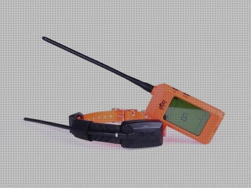 ¿Dónde poder comprar becada collar gps perro becada?