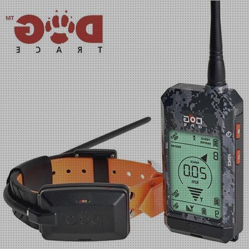 Los 26 Mejores Collares Gps Para Perros Caza Decathlon