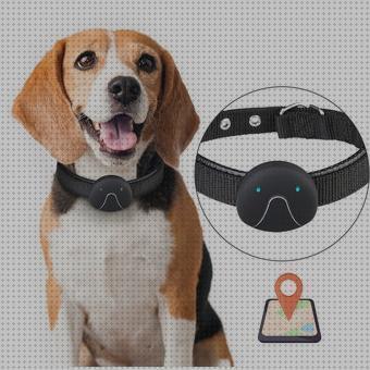 Análisis de los 20 mejores Collares Gps Para Perros Chiles