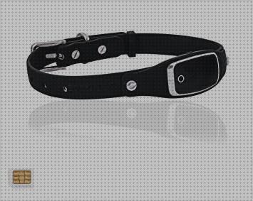 ¿Dónde poder comprar gps perros sim gps perro collar gps perros con tarjeta sim?
