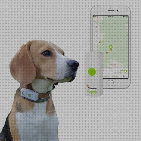 Las mejores marcas de gps perros sim gps perro collar gps perros con tarjeta sim