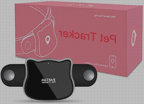 Las mejores gps perros sim gps perro collar gps perros con tarjeta sim