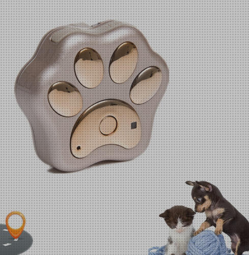 Los 29 Mejores Collares Gps Para Perros Con Tarjetas Sim