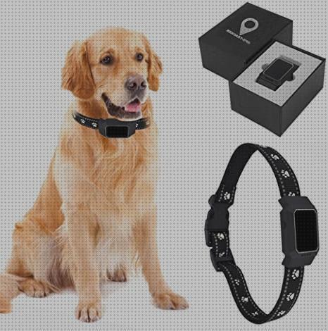 Las mejores gps perro collar gps perros mexico