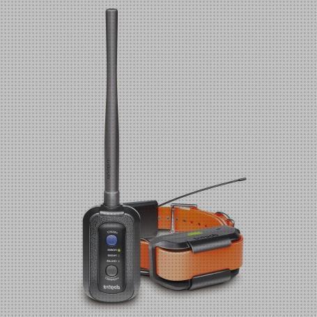 Las mejores marcas de Más sobre vallas invisibles perros gps gps perro collar gps perros tec 1