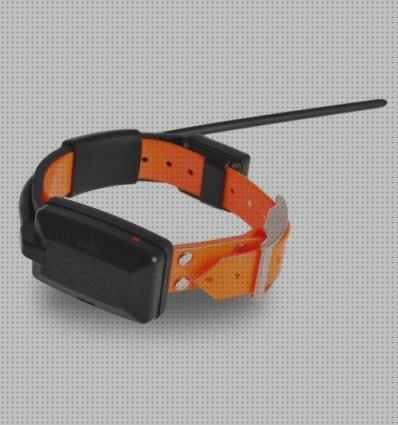 Los mejores 22 Collares Para Perros Sordos Con Gps Y Sonidos