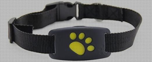 Review de collar seguimiento gps perros