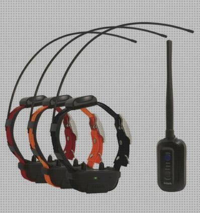 ¿Dónde poder comprar perros collares de adiestramiento de perros con gps?
