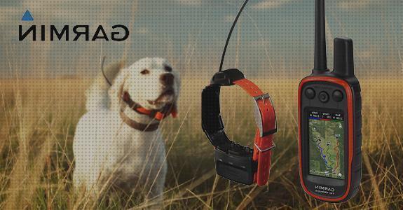 Opiniones de los 25 mejores Collares De Adiestramientos De Perros Con Gps