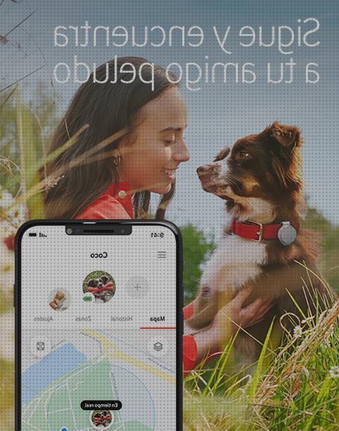 Las mejores marcas de gps perros collar gps perro collares gps perros conectados al movil