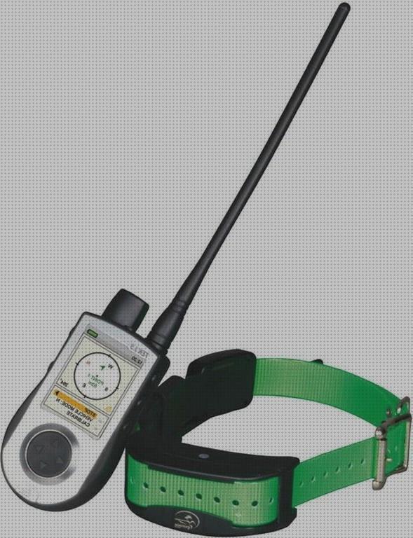 Los mejores 25 Collares Gps Para Perros Sportdog 1