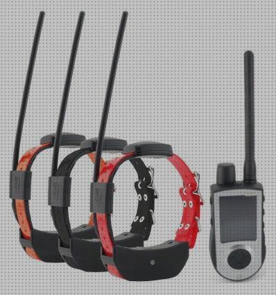 ¿Dónde poder comprar perros collares gps perros sportdog 1?