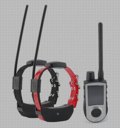 Las mejores marcas de perros collares gps perros sportdog 1