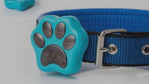 ¿Dónde poder comprar gps perros collar gps perro collares gps perros topgog1?