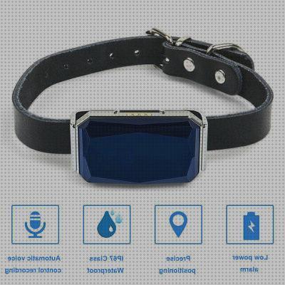 Análisis de los 36 mejores Collarseguimiento Gps Para Perros
