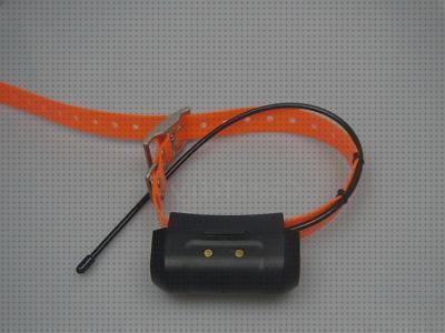 Opiniones de las 27 mejores Correas Gps Para Perros Garmin