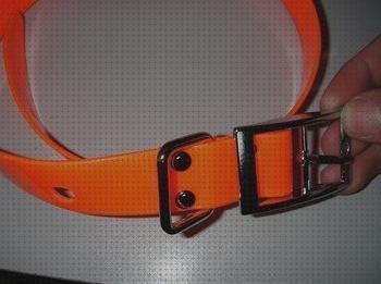 Las mejores marcas de perros garmin correa gps perros garmin