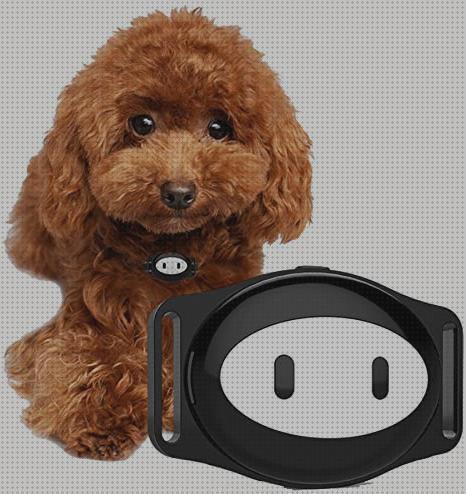 Review de detector gps localizador