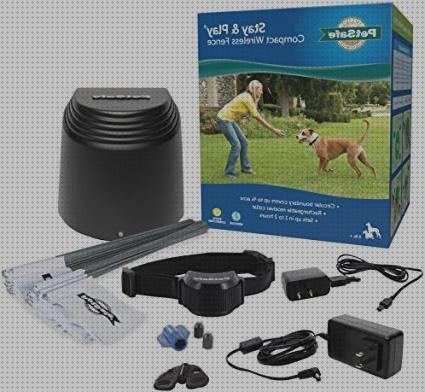 Las mejores marcas de gps perro dogsafe gps perros