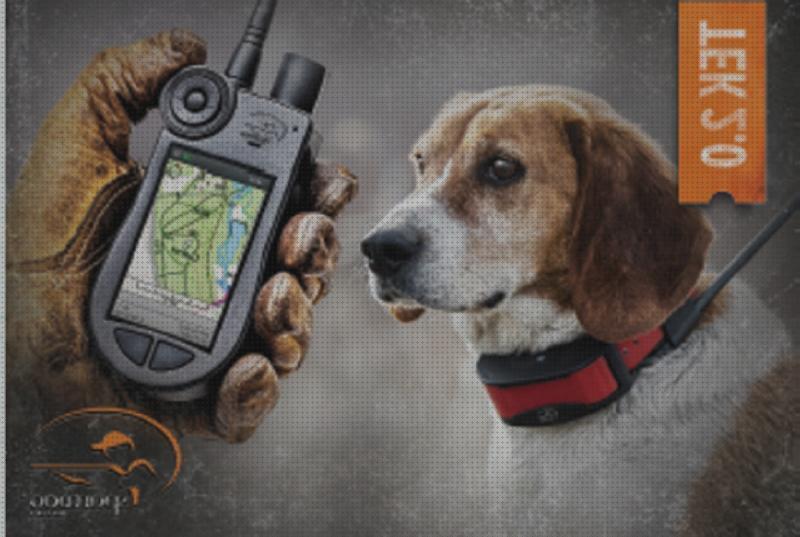 Review de dogsafe gps perros