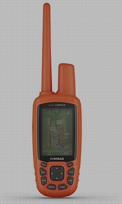 ¿Dónde poder comprar garmin garmin dog gps?