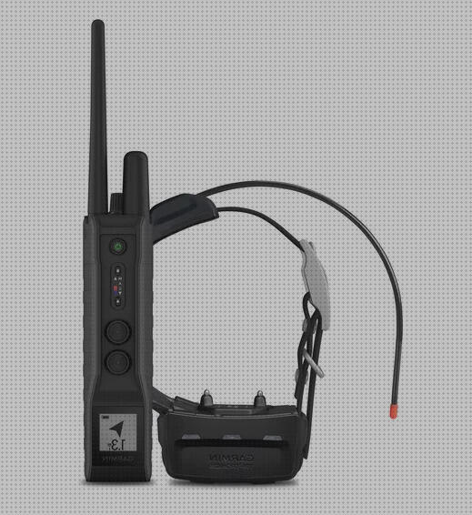 ¿Dónde poder comprar perros garmin garmin gps perros con adiestramiento?