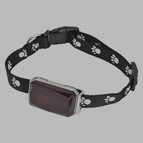 ¿Dónde poder comprar perros gps bluetooth perros?