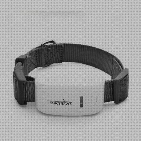 ¿Dónde poder comprar perros gps con camara perros?