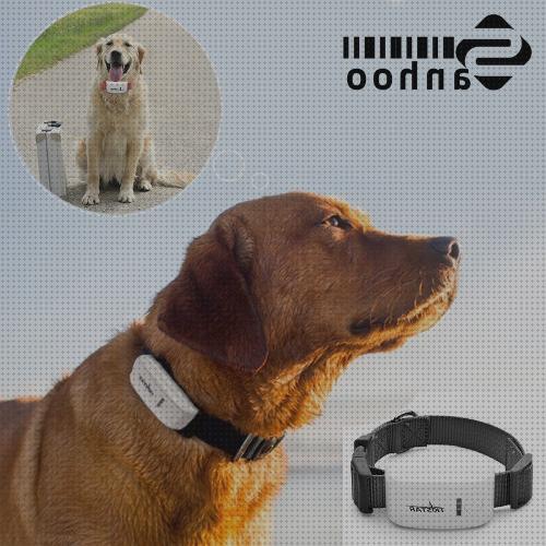 Las mejores marcas de perros gps con camara perros