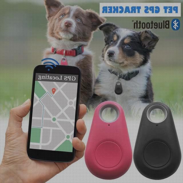 ¿Dónde poder comprar perros gps llavero perros?