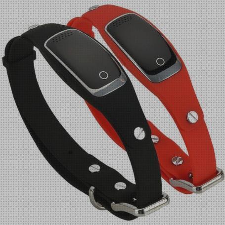 Las mejores gps perro gps on camara perros