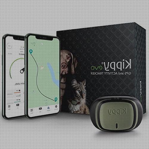Review de gps on camara perros