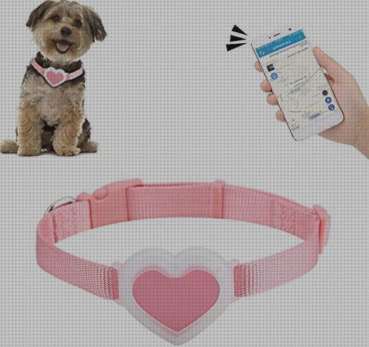 Review de gps perro acuatico