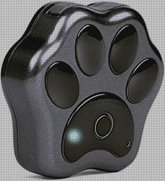 Los mejores 27 Gps Para Perros Con Sim 4g Normales