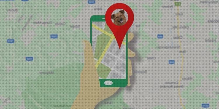 Los 25 Mejores gps para perros 2020