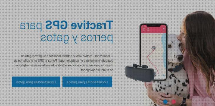 Las mejores marcas de gps perro barato gps perro gps perros app movil baratos