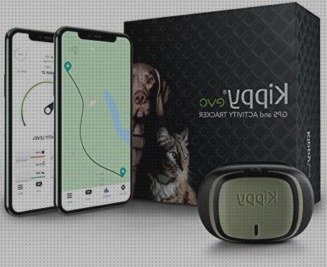 Las mejores gps perro barato gps perro gps perros app movil baratos