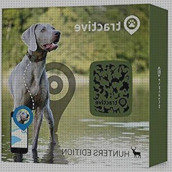 Análisis de los 33 mejores Gps Para Perros Caza Tractive