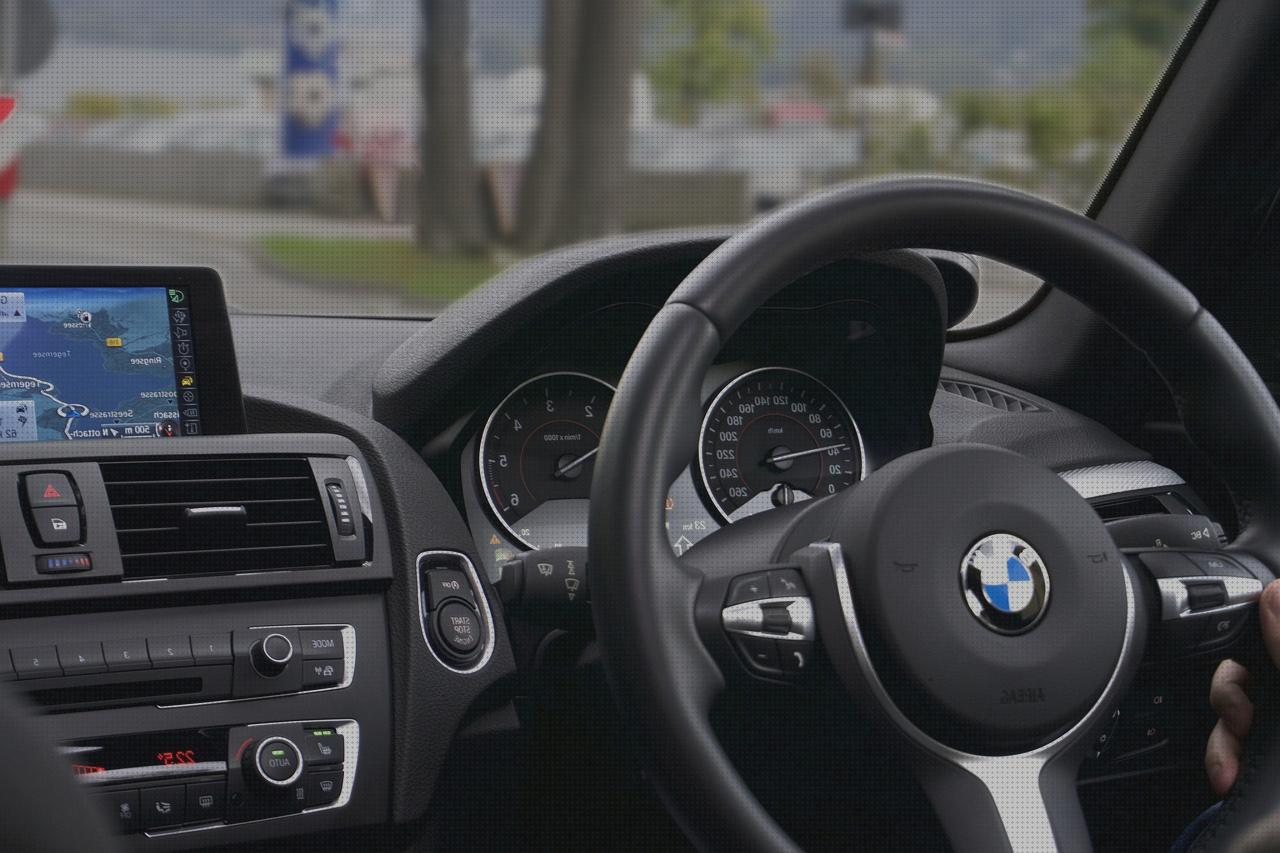 Review de gps perros son radiactivos